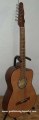 Guitarra Rockera modelo CGE 4